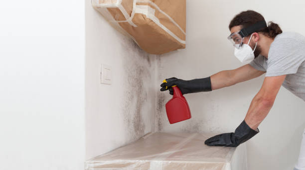Professional Mold Inspection And Testing technician working in Belmar, NJ